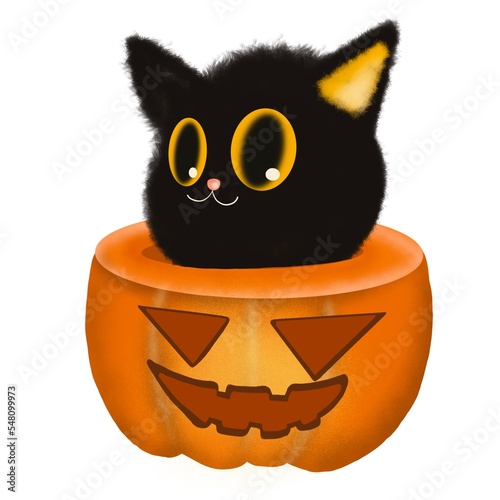halloween cat pumpkin