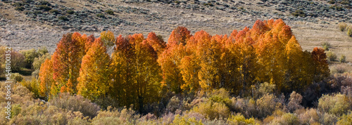 autumn in the mountains