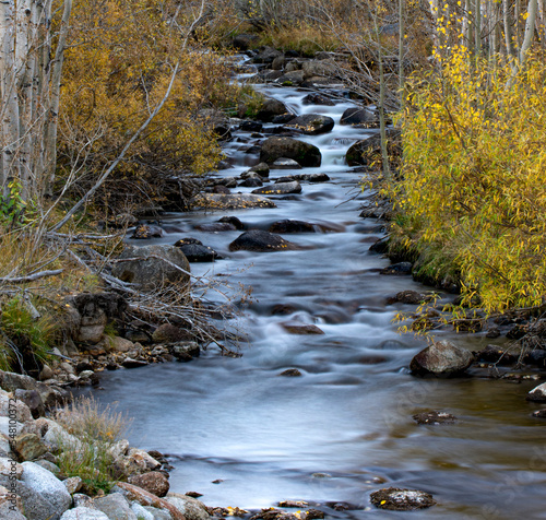 mountain river in autumn