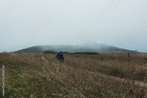 A path in a field with tall grass in the fog, poor visibility, a place to hike, a nature park.