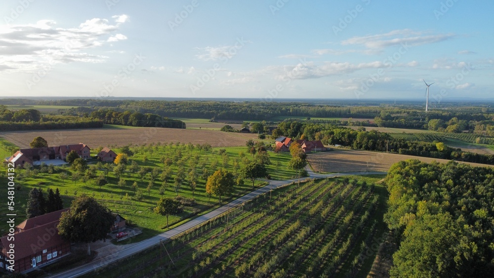 vineyard Aerial village 