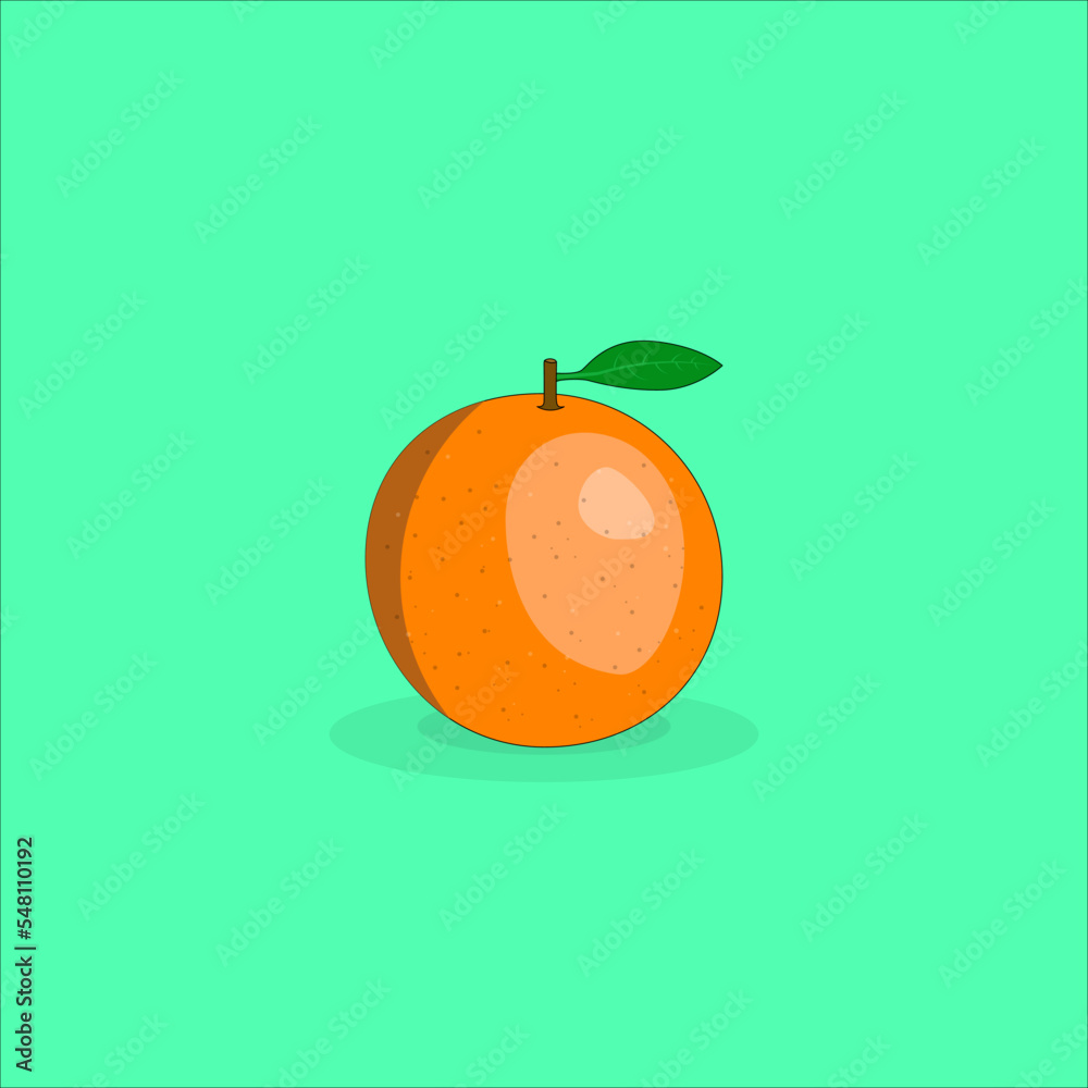 Realistic orange illustration in vector format. Realistic orange illustration in vector format.