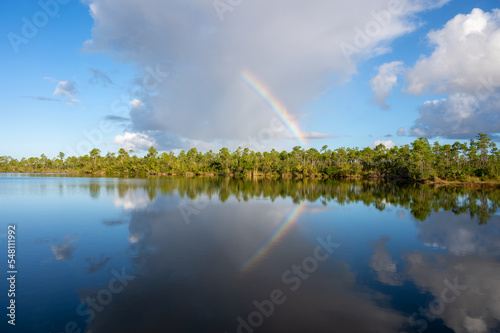 Rainbow and clouds over Pine Glades Lake in Everglades National Park  Florida on sunny autumn morning.