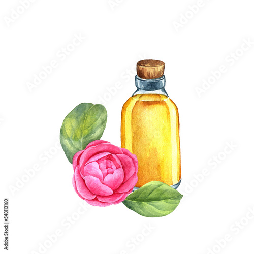 Valokuvatapetti watercolor drawing camelia essential oil, glass bottle and flower, hand drawn il