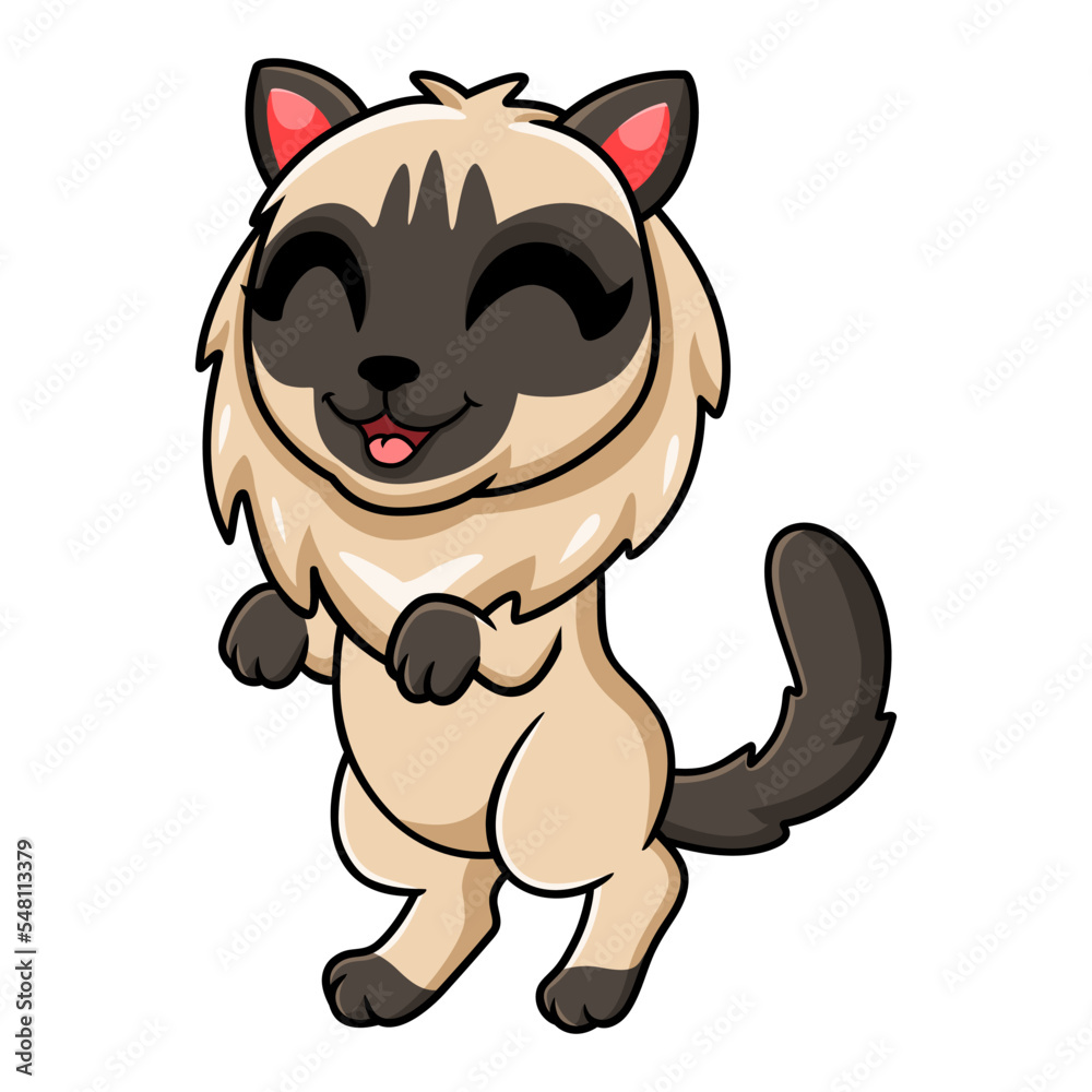 Cute balinese cat cartoon standing Cute balinese cat cartoon standing
