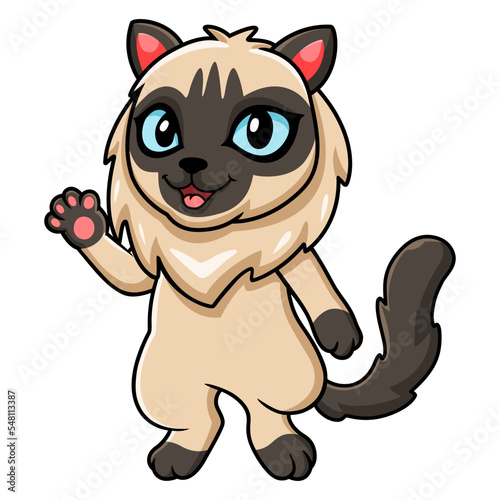 Cute balinese cat cartoon waving hand