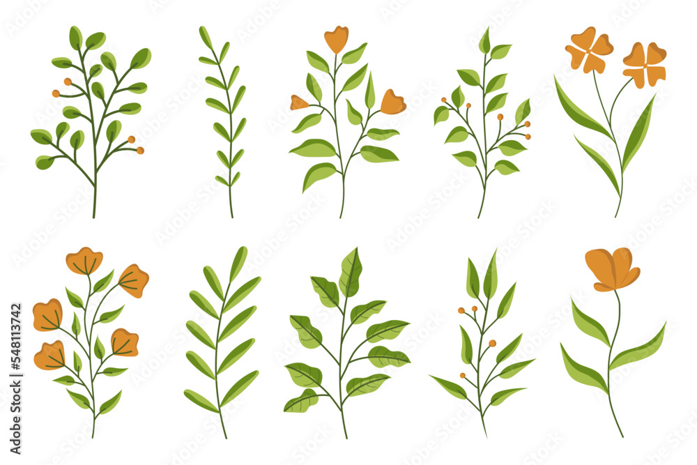 Set of botanical abstract flowers, Hand drawn floral leaves isolated on white background