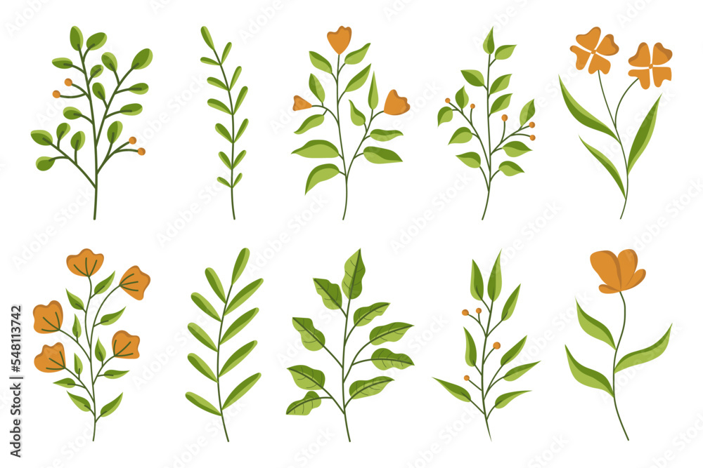 custom made wallpaper toronto digitalSet of botanical abstract flowers, Hand drawn floral leaves isolated on white background