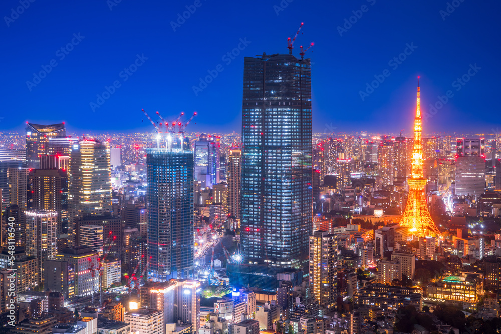 Fototapeta premium 東京 六本木ヒルズからの夜景
