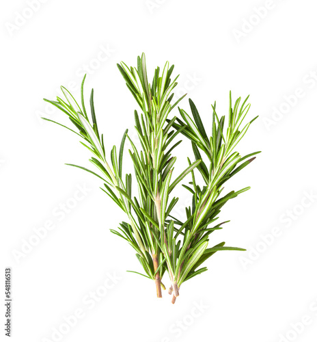 Rosemary isolated on transparent png © supamas