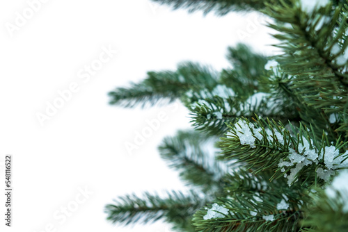 Christmas pine leaves with snow decoration border isolate. Use for Merry Christmas and New Year holiday background design.