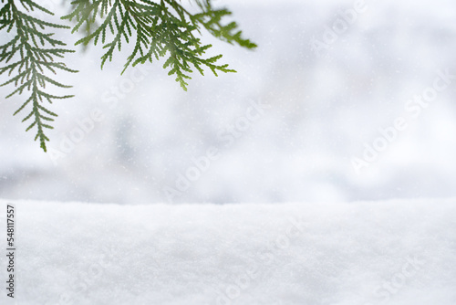 winter christmas background with snow and green fir tree branches frame  copy space
