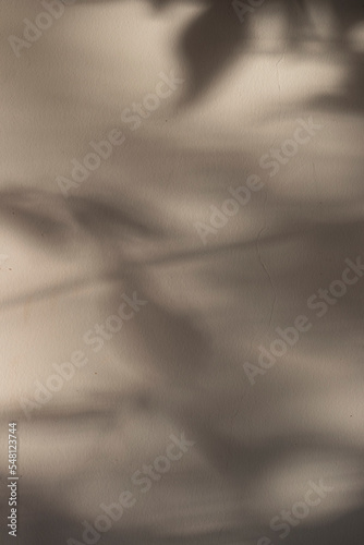 Texture shadows on cement background, evening light. 