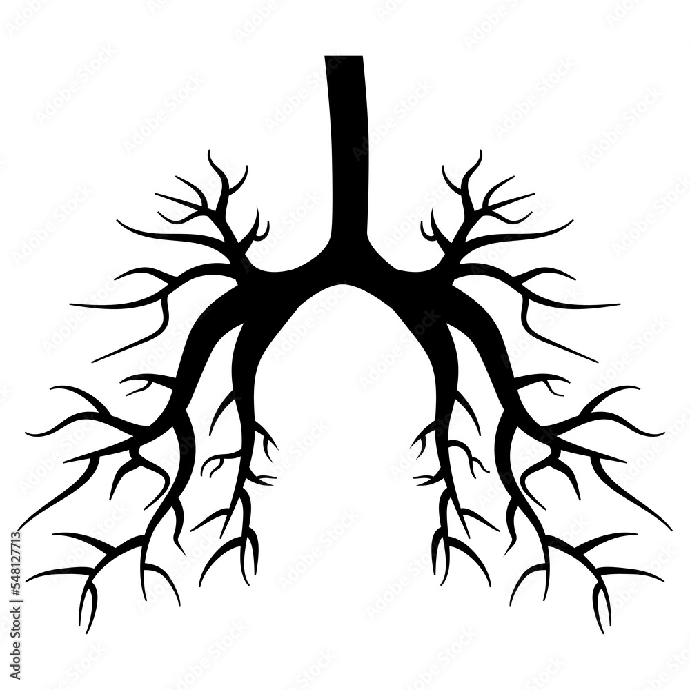 Bronchi of lungs black silhouette isolated on white background. Design element. Bronchi of lungs black silhouette isolated on white background. Design element.