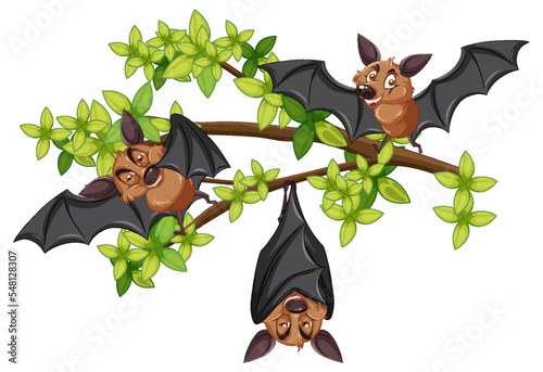 Bats on a tree branch