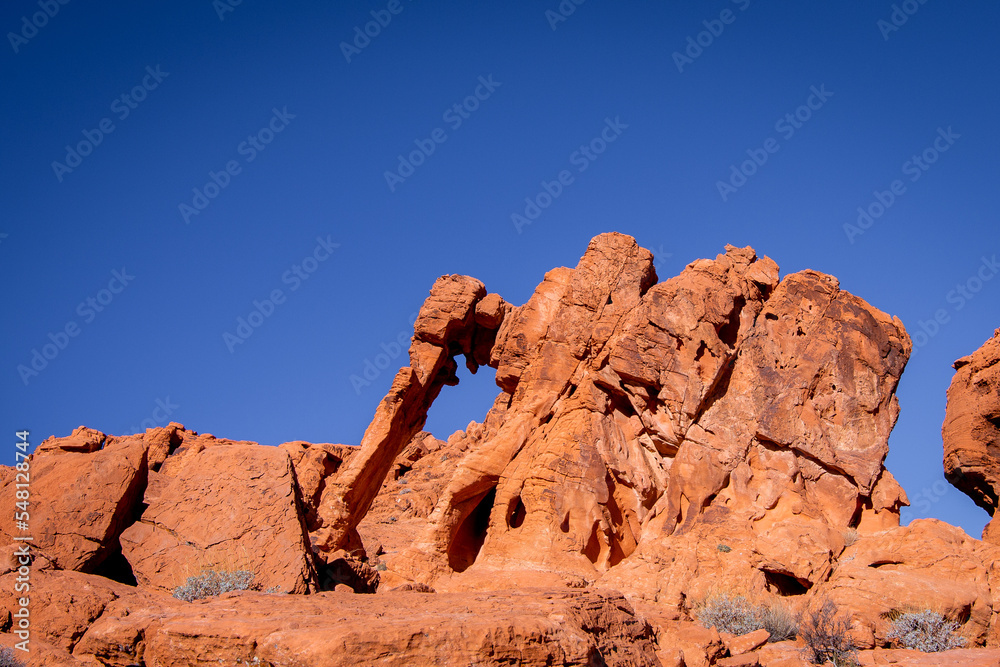 Elephant Rock in Valley of Fire State Park, Nevada. 