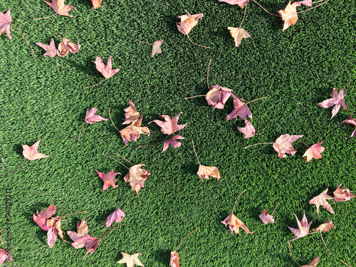 Autumn leaves on artificial grass photo