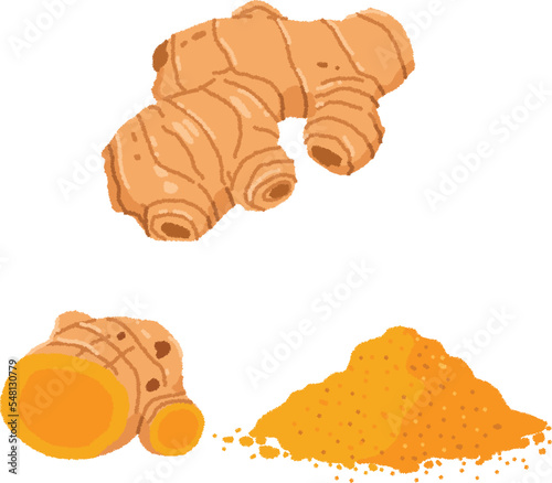 ウコンのイラスト