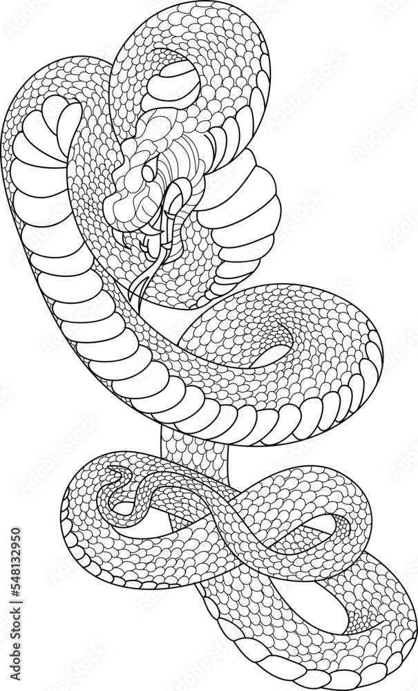 Hand drawn snake vector for coloring book and tattoo design isolate on ...