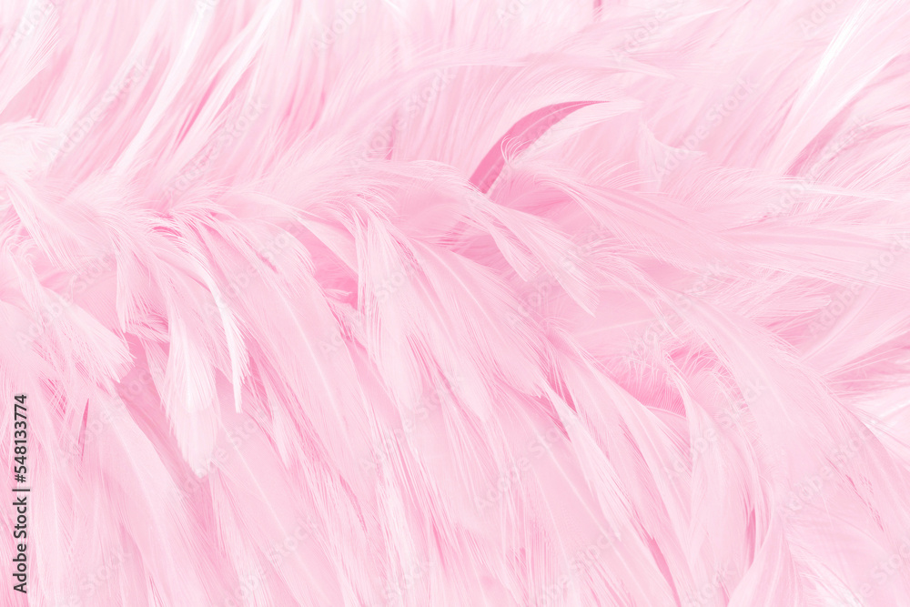 Beautiful light pink bird feathers pattern texture background.