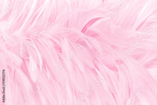 Beautiful light pink bird feathers pattern texture background.