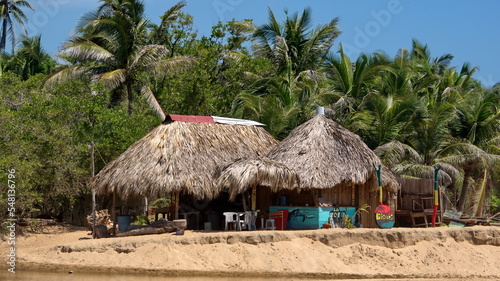 Thatched buildings on the beach in Zipolite, Mexico, under palm trees