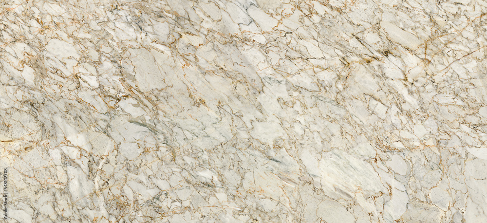 white marble texture background with spider curly vines on surface. limestone marble granite for architecture decorative interior-exterior home decoration and ceramic slab tile. vitrifield tile design white marble texture background with spider curly vines on surface. limestone marble granite for architecture decorative interior-exterior home decoration and ceramic slab tile. vitrifield tile design