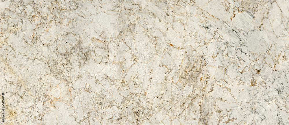 white marble texture background with spider curly vines on surface. limestone marble granite for architecture decorative interior-exterior home decoration and ceramic slab tile. vitrifield tile design white marble texture background with spider curly vines on surface. limestone marble granite for architecture decorative interior-exterior home decoration and ceramic slab tile. vitrifield tile design