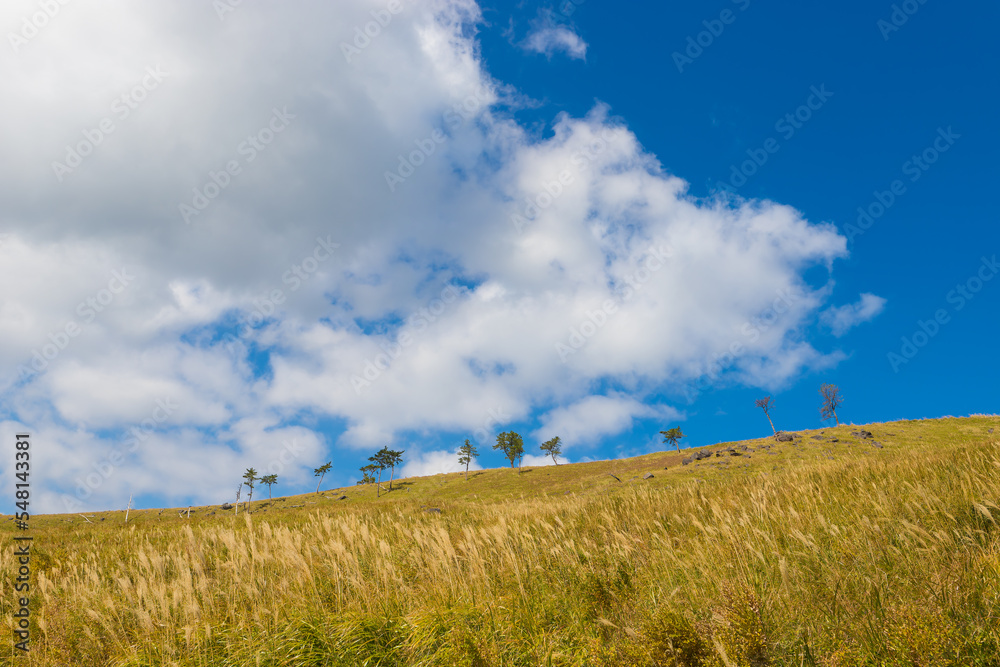 Obraz premium 高原と青空（熊本県南小国町）