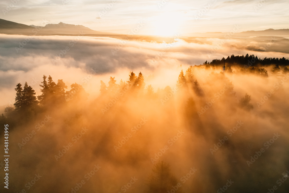 Fototapeta premium Foggy forest with sun rays. Top view from drone of mountain valley in low clouds. Aerial view of mountain peak with green trees in fog