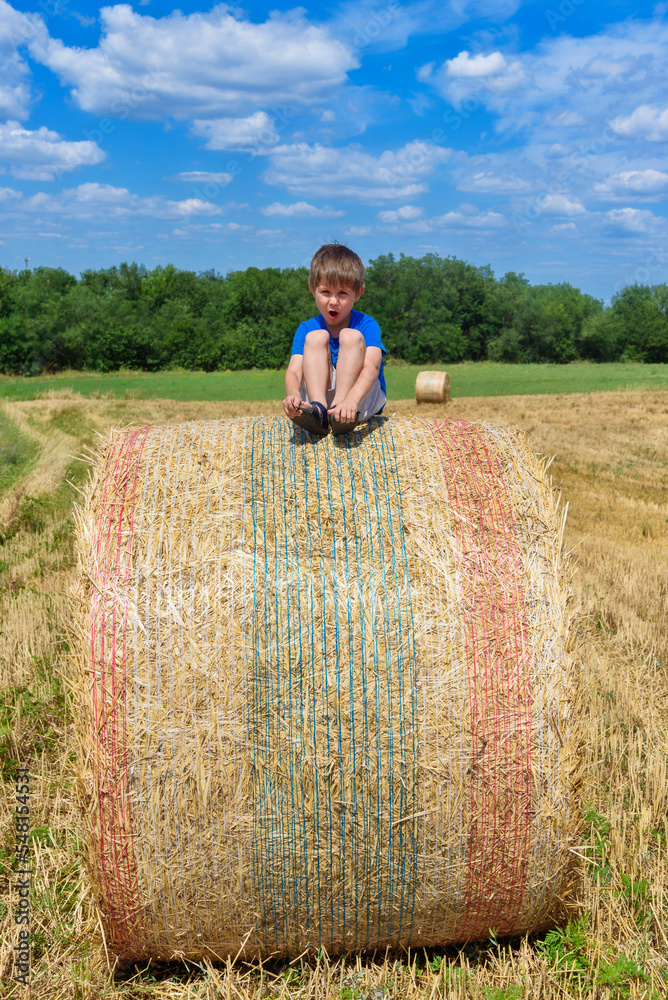 The boy is sitting on golden hay bales on the field The boy is sitting on golden hay bales on the field