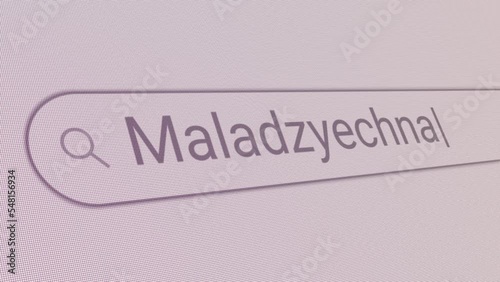 Search Bar Maladzyechna 
Close Up Single Line Typing Text Box Layout Web Database Browser Engine Concept photo