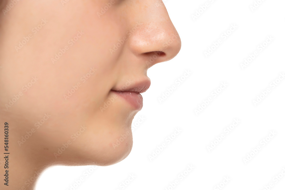 Closeup profile of female s nose and lips with no makeup on a white background Closeup profile of female s nose and lips with no makeup on a white background
