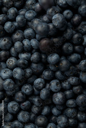 fresh blueberry full of frame, copy space, banner
