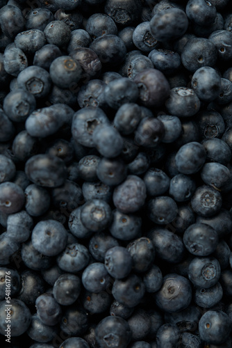 fresh blueberry full of frame, copy space, banner 