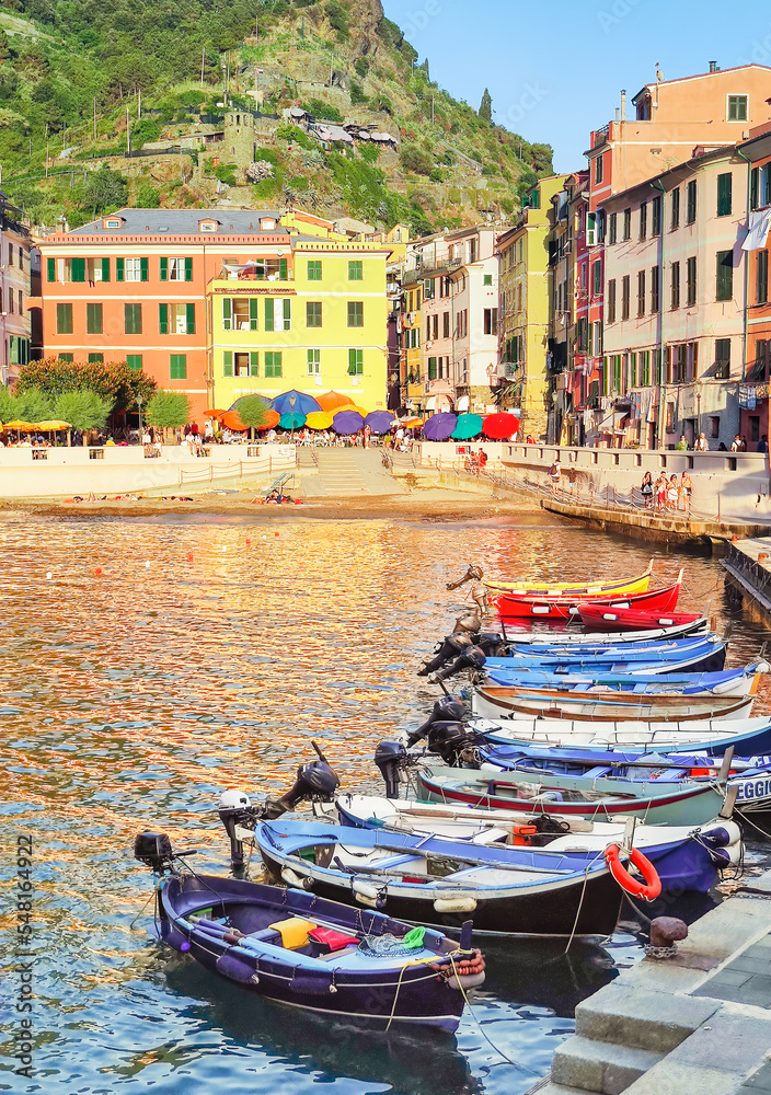 Fishing boats in the tourist port of Vernazza