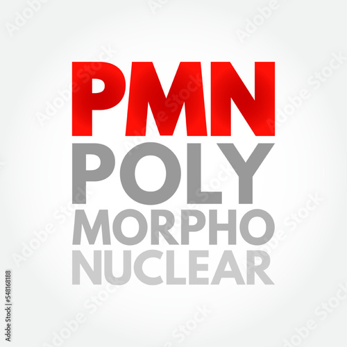 PMN PolyMorphoNuclear - having a nucleus with several lobes and a cytoplasm that contains granules, as in an eosinophil or basophil, acronym text concept background