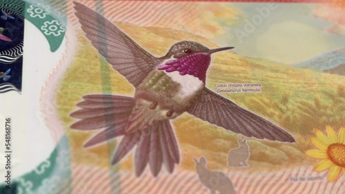 Costa Rica Costa Rican Colón 20000 Banknotes, Twenty thousand Costa Rican Colón, Close-up and macro view of the Costa Rican Colón, Tracking and Dolly Shots 20000 Costa Rican Colón banknote Observe and