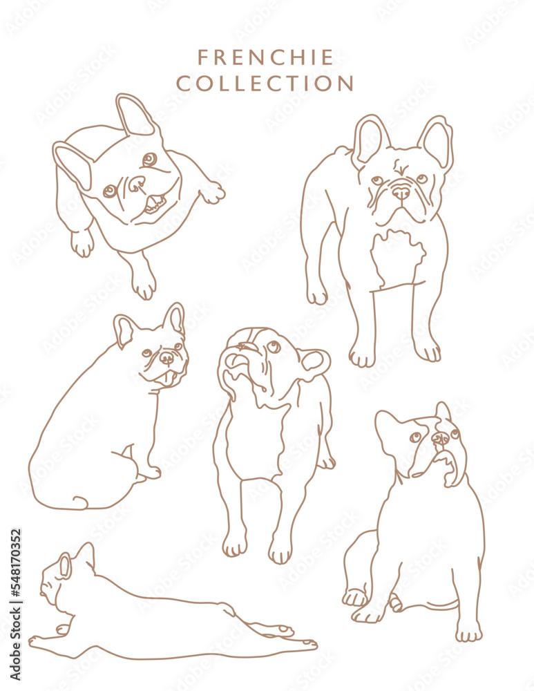 French Bulldog Outline Illustrations in Various Poses