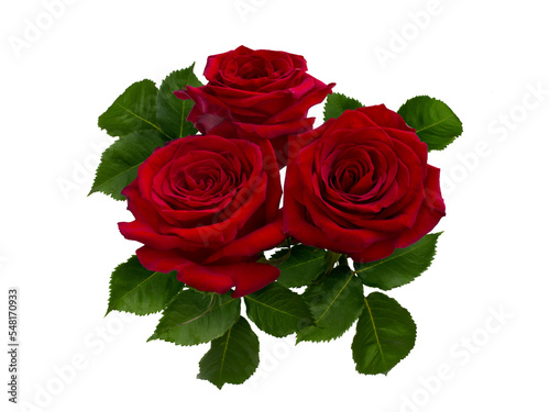 Fototapeta Naklejka Na Ścianę i Meble -  Red rose flowers corner arrangement isolated on white