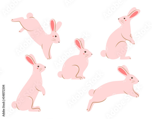 Set of cute rabbits in different poses. Flat vector illustration.