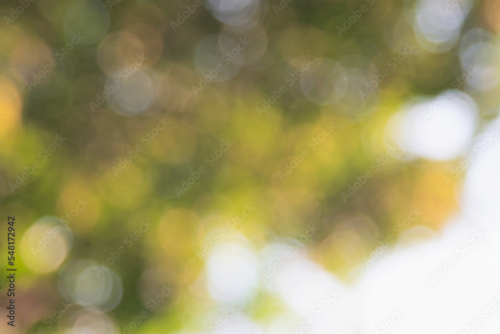 Abstract bokeh background, Nature and blurred background Abstract bokeh background, Nature and blurred background