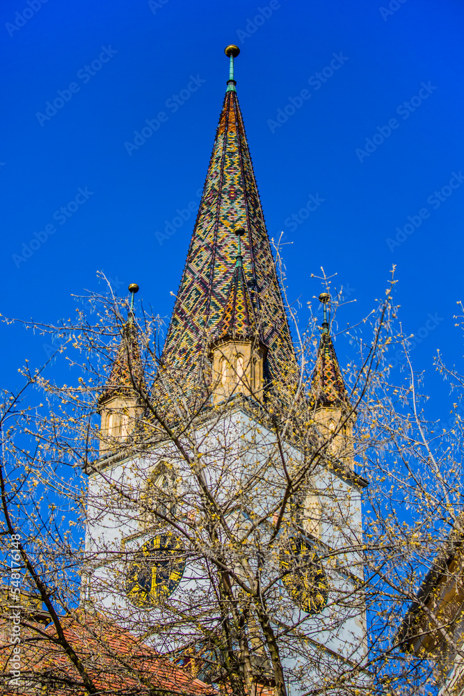 Church tower masked by tree. Sibiu old Lutheran cathedral tower.