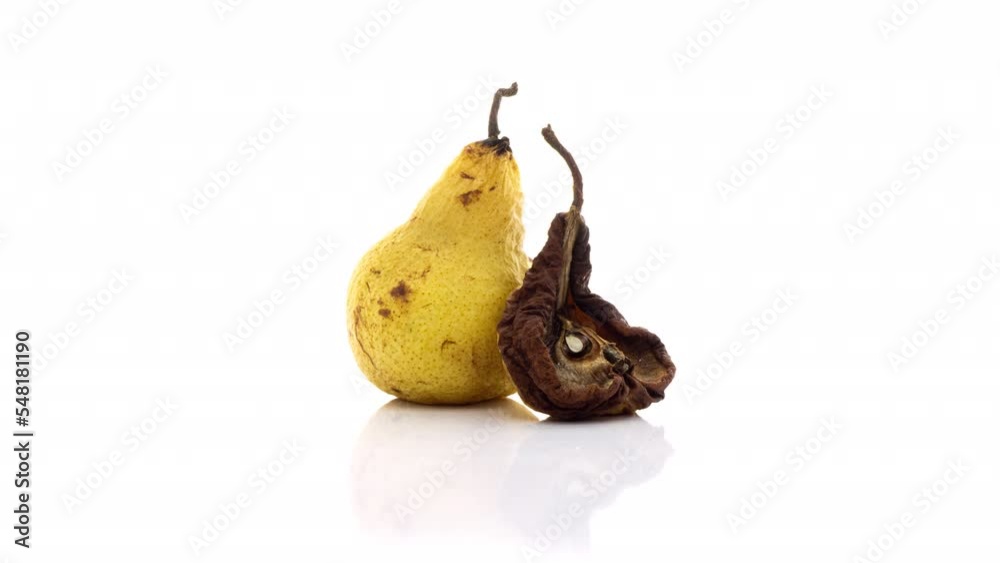 Time lapse of rotting pear on white background, reverse loop video, educational video,