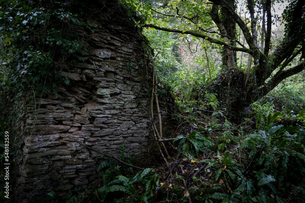 Old rubble building remains of a lost village in a woodland in Clicket Somerset Old rubble building remains of a lost village in a woodland in Clicket Somerset