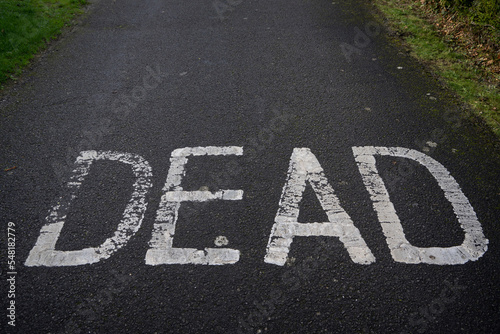 The word Dead on a rural road in white paint