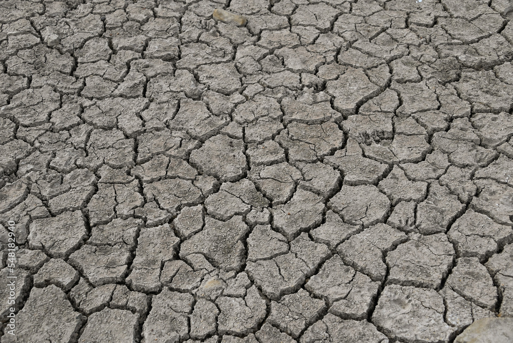 Cracked, Dry Pond Bed at Ojai Meadows Preserve, Ventura County Cracked, Dry Pond Bed at Ojai Meadows Preserve, Ventura County