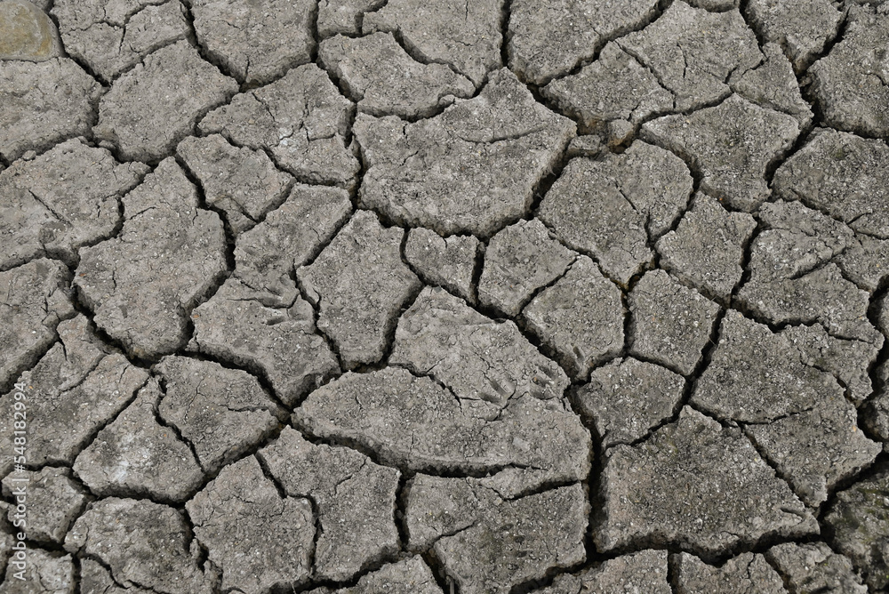 Cracked, Dry Pond Bed at Ojai Meadows Preserve, Ventura County Cracked, Dry Pond Bed at Ojai Meadows Preserve, Ventura County