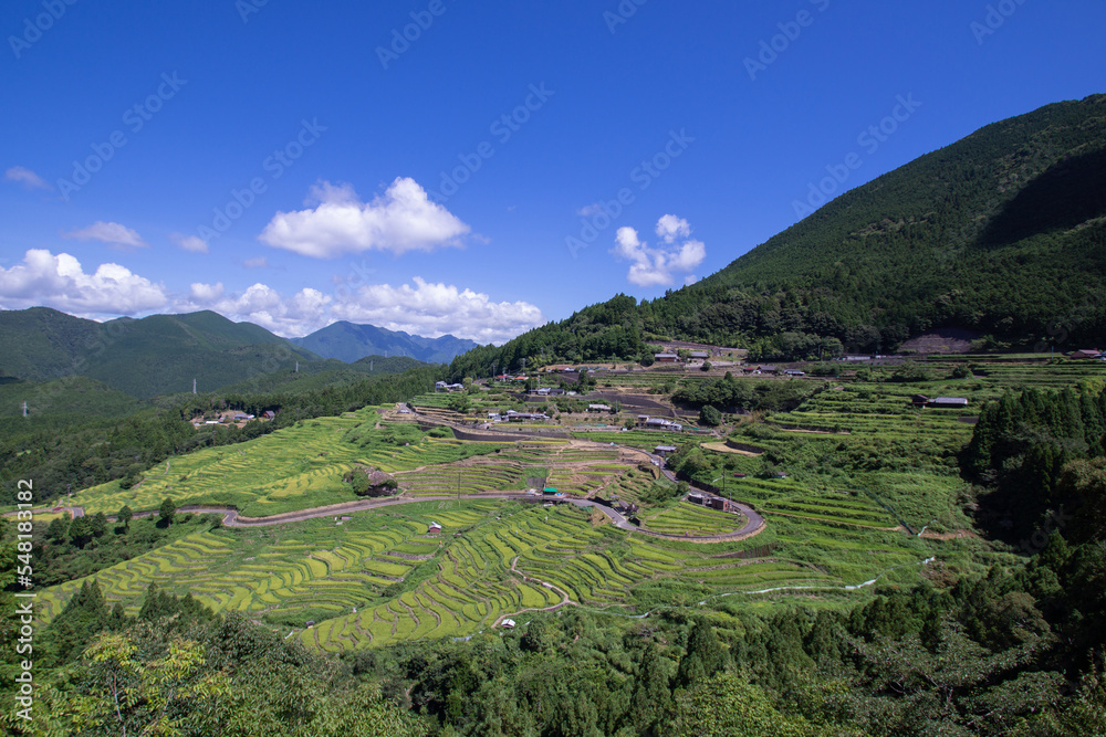 Countryside view, color sky and rice field