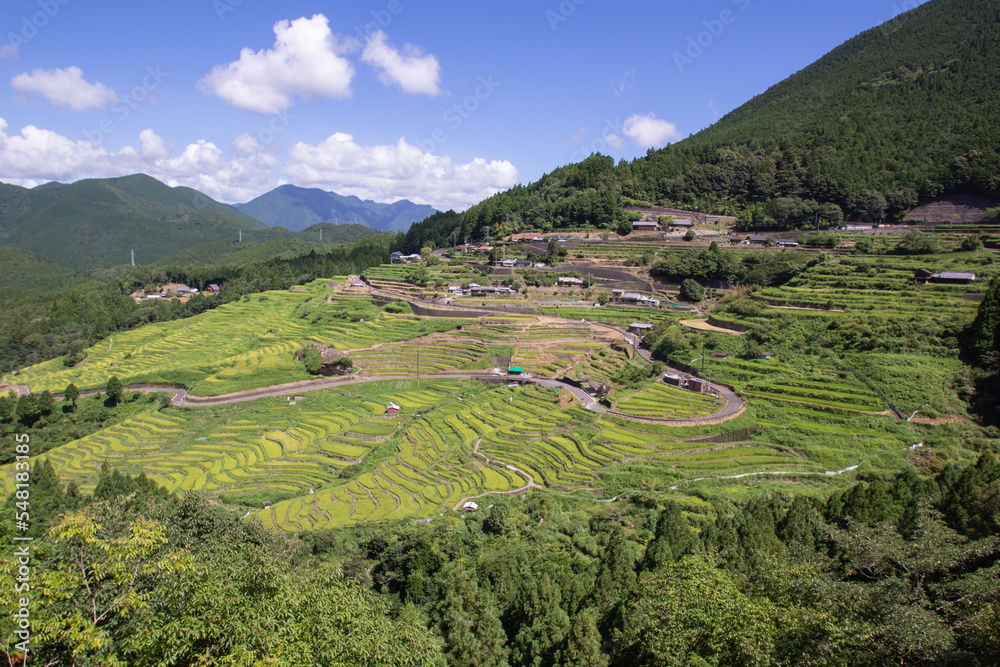 Countryside view, color sky and rice field